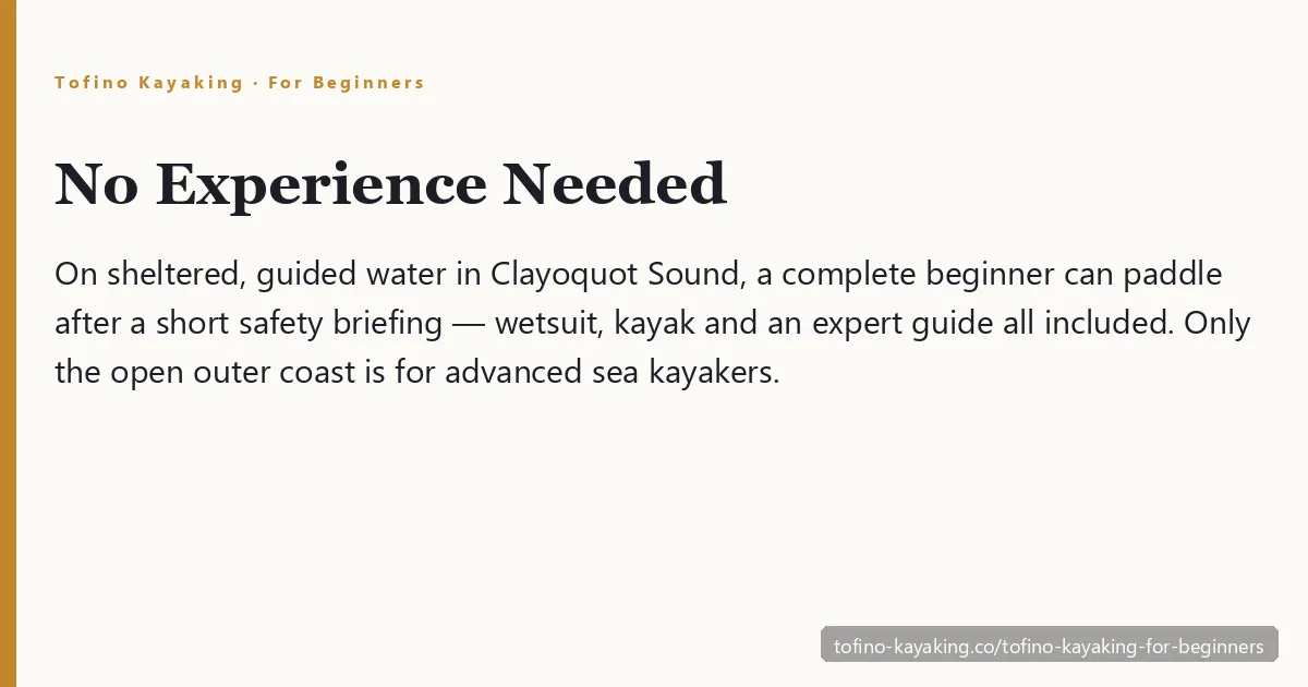 Tofino kayaking for beginners — guided paddling on sheltered, protected water in Clayoquot Sound, no experience needed