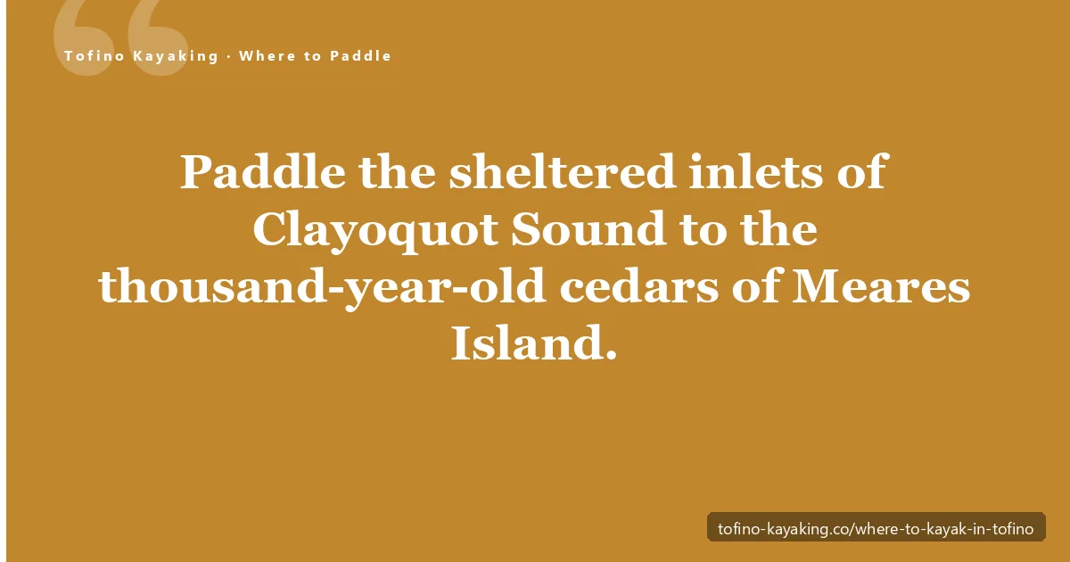 Where to kayak in Tofino — sheltered inlets and forested islands of Clayoquot Sound, a UNESCO Biosphere Region